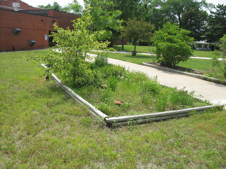Fredonia 8