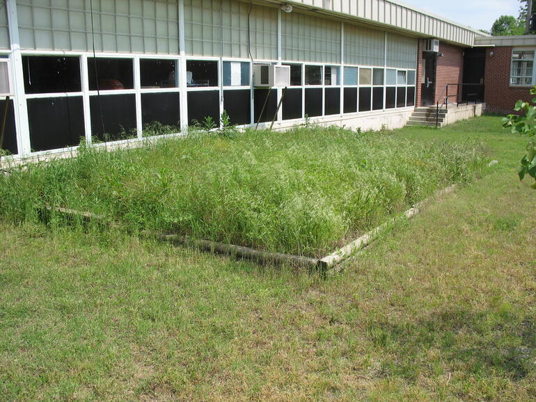Fredonia 9