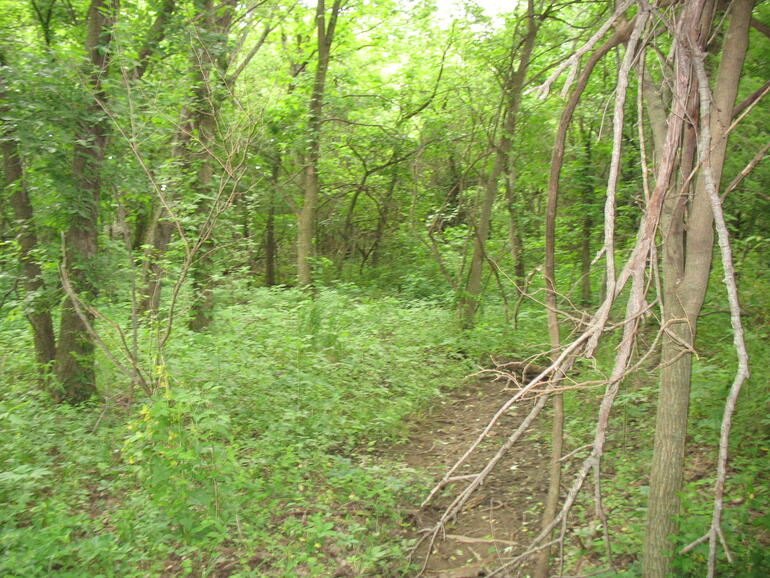 Greenlawn 04