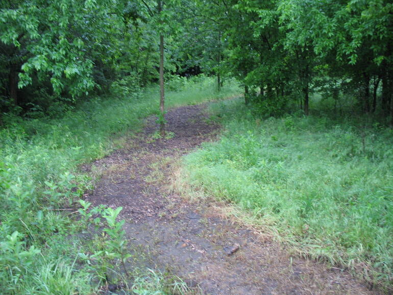 Oswego 09