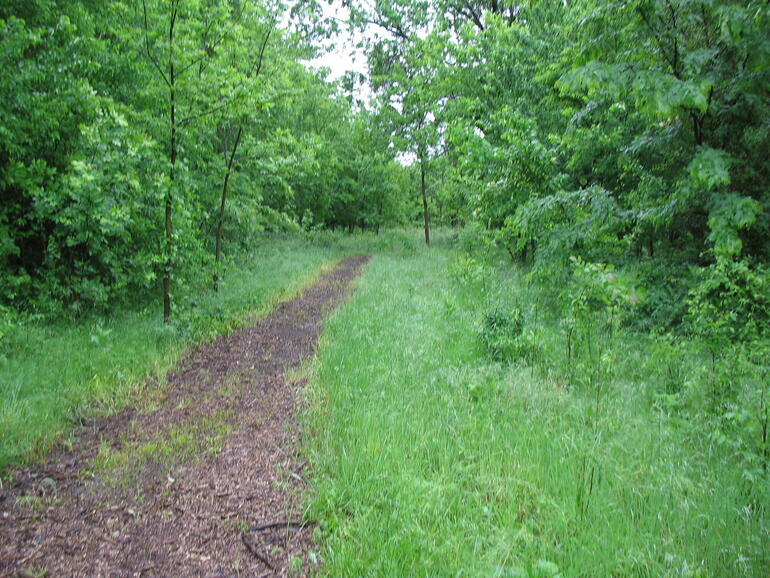 Oswego 10