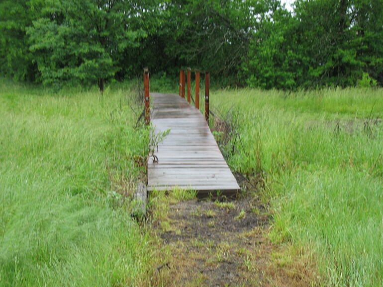 Oswego 12