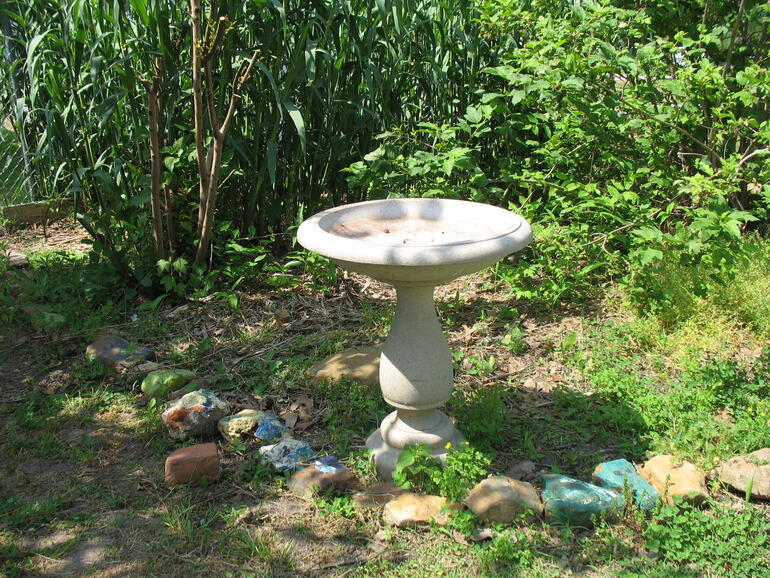 Spring Grove 05