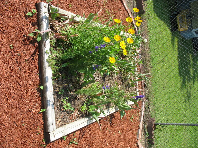 Spring Grove 09