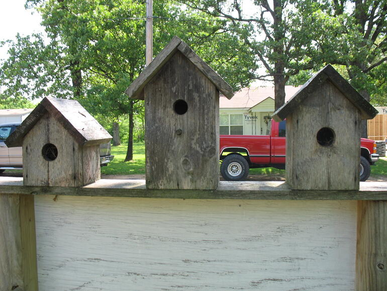 Spring Grove 12