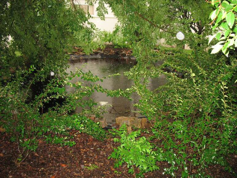 Washington 05