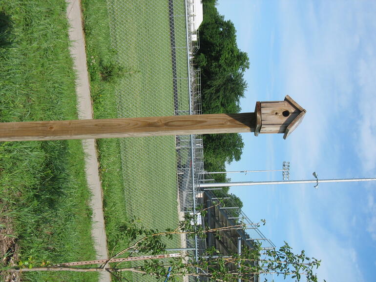 Wellsville 05
