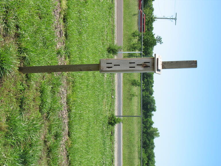 Wellsville 07