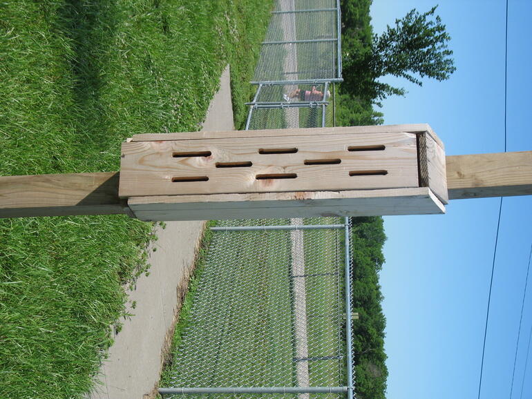 Wellsville 08