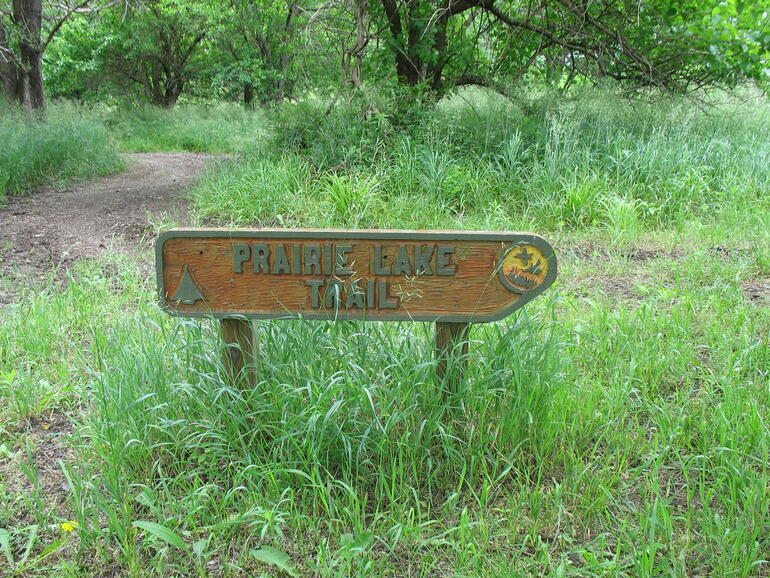 Wolf Creek 14