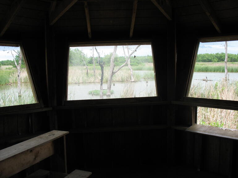 Wolf Creek 19
