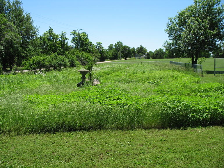Yates Center 04