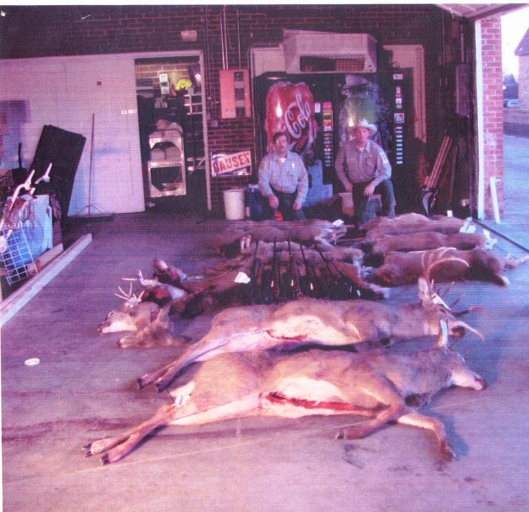 Processing Evidence