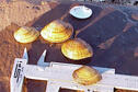 Fawnsfoot Mussel