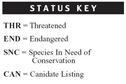 A Status Key