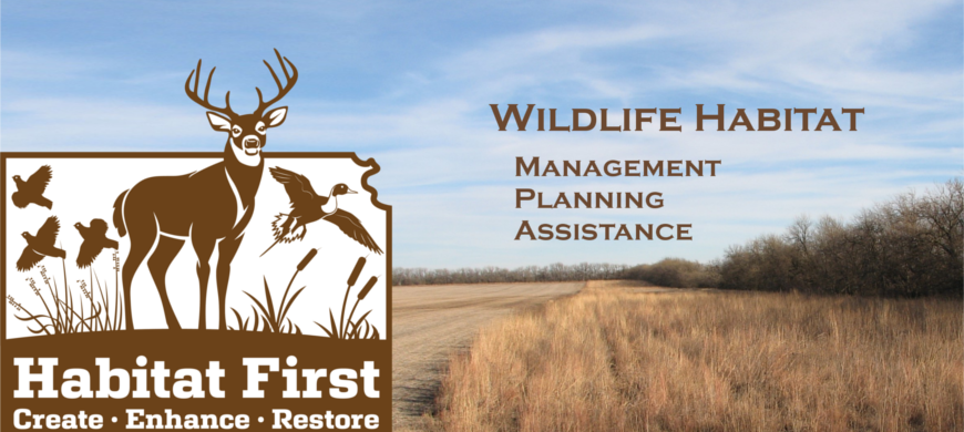 Habitat First