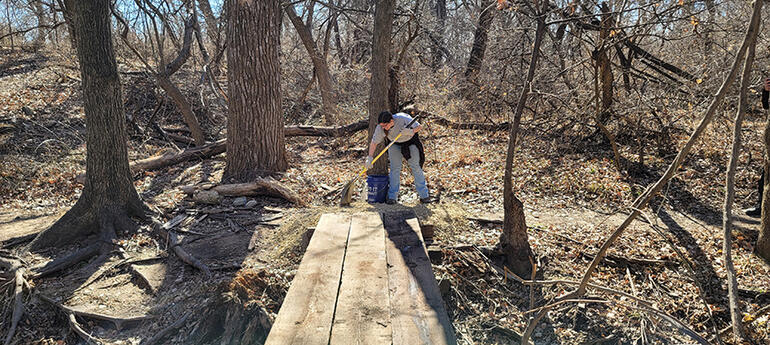 Liz Bridge