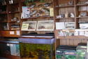 List of Live Animals on display in the Park Office