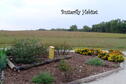 Butterfly Habitat-1