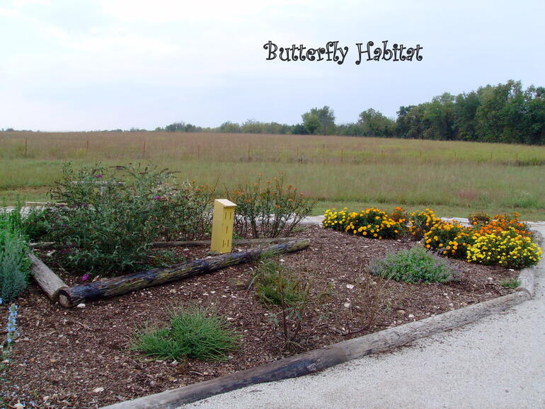 Butterfly Habitat-1