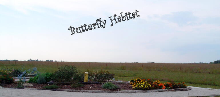 Butterfly Habitat