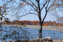 Fall trees behind the dam