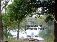 Fish Feeder off Lonesome Point