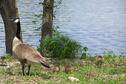 Newcomers to the park this spring