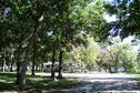 Rocky Cove Campground