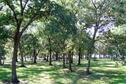 Rocky Cove Campground