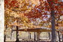 Shelter at Rocky Cove in the fall