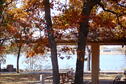 Shelter at Rocky Cove in the fall