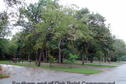 Southern end of Oak Point Campground-lake on right