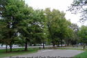 Southern end of Oak Point Campground