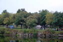 Tent sites at Oak Point Campground
