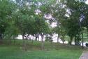 View from Shady Rest Cabin toward the lake