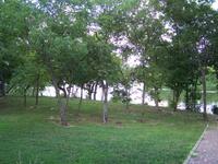 View from Shady Rest Cabin toward the lake