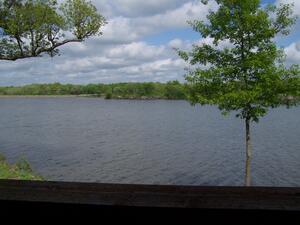 View off Morning Glory front porch