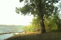 Along the shore