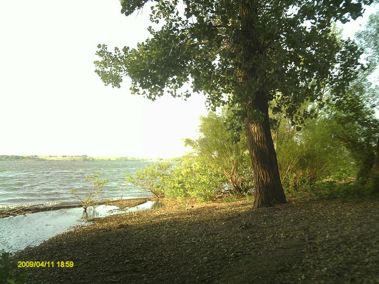 Along the shore