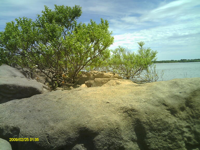 Shore Line