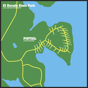 Equestrian and Pintail 