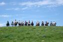 El Dorado Horse Trail Line Up