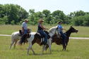 Horse Riding