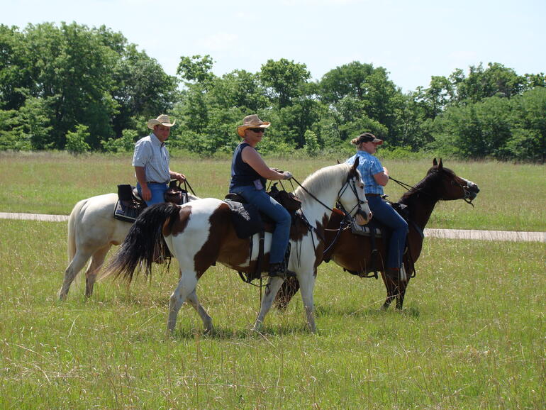 Horse Riding