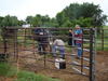 Quality Well Service making horse corrals better