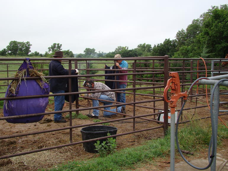 Volunteers at work