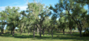 Meade-State-Park-Camping-Area