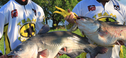 Milford-State-Park-Anglers