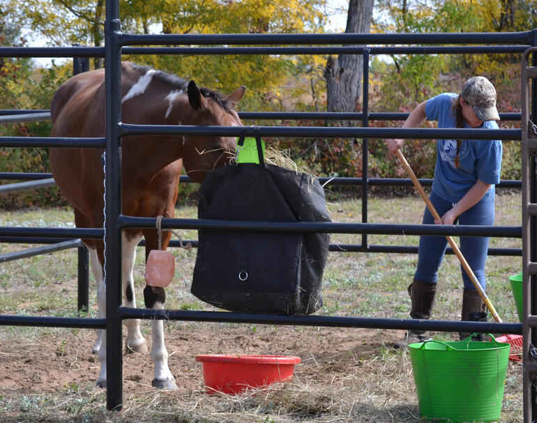 2014 Competitive Trail Ride Competitor